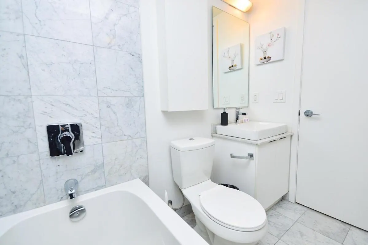 Downtown Toronto Apartment