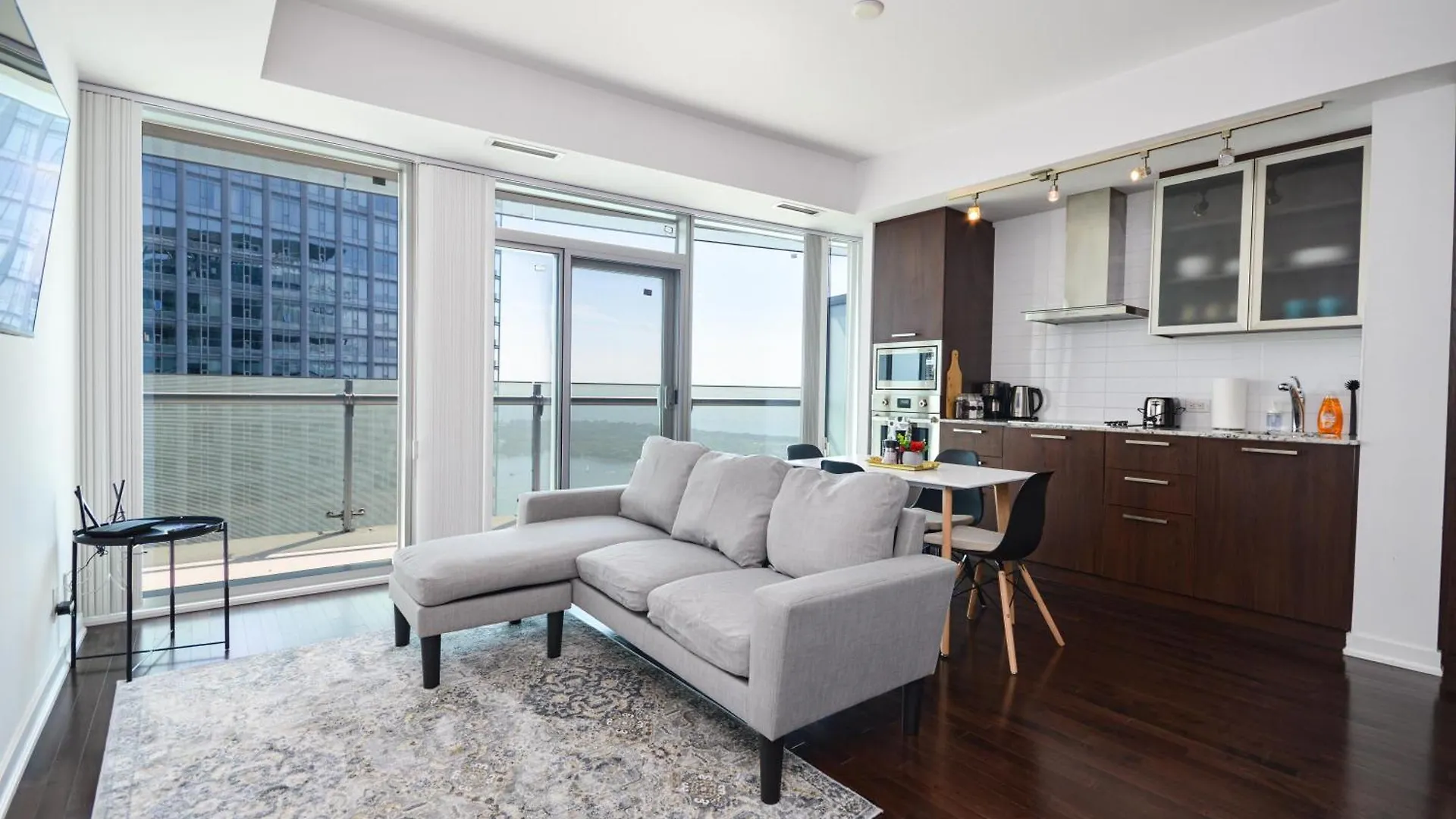 Downtown Toronto Apartment