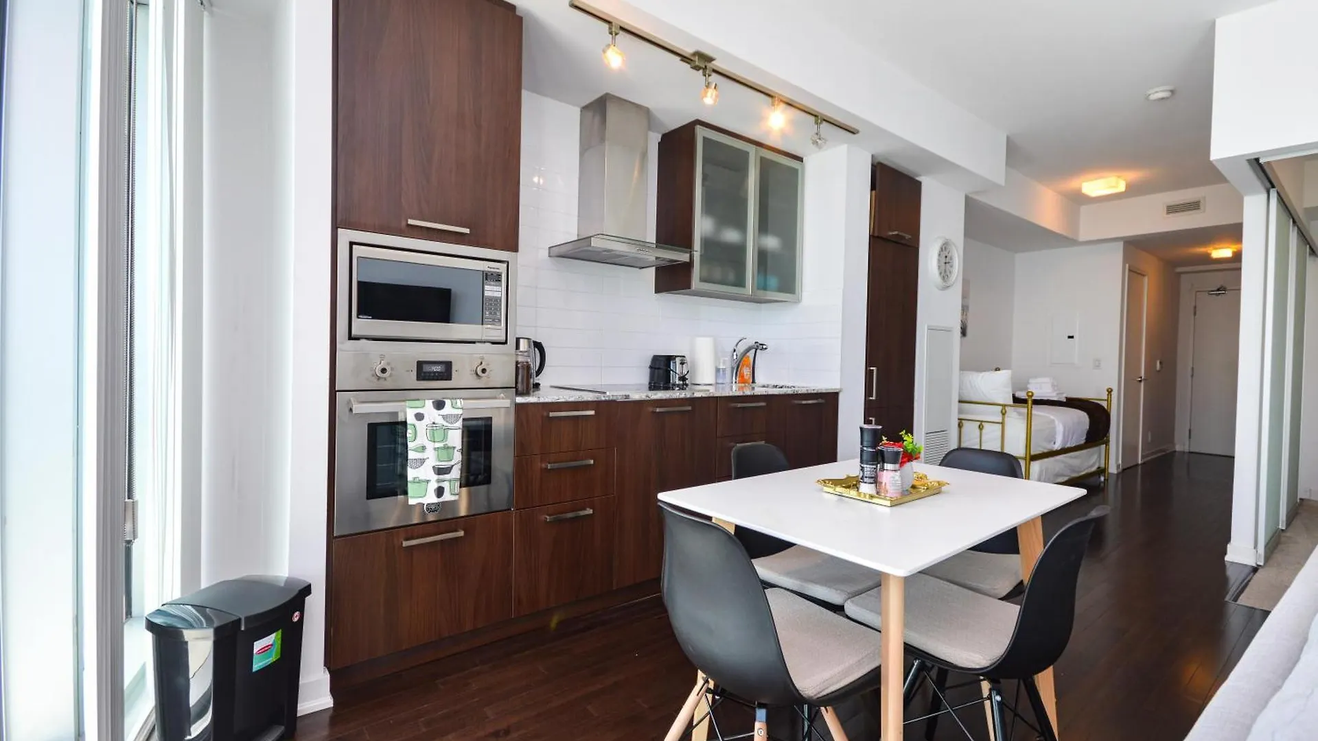 Downtown Toronto Apartment