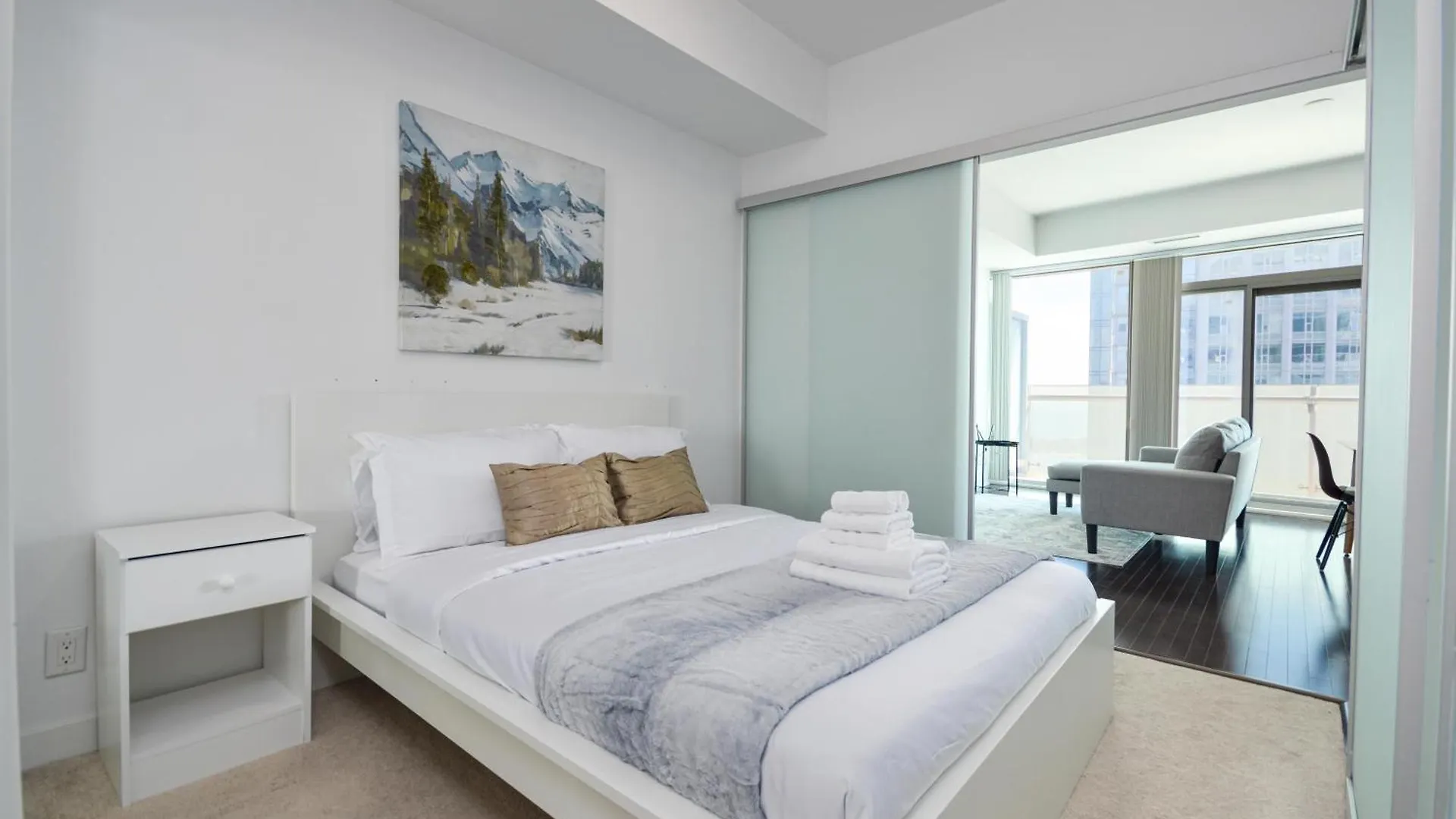 Downtown Toronto Apartment