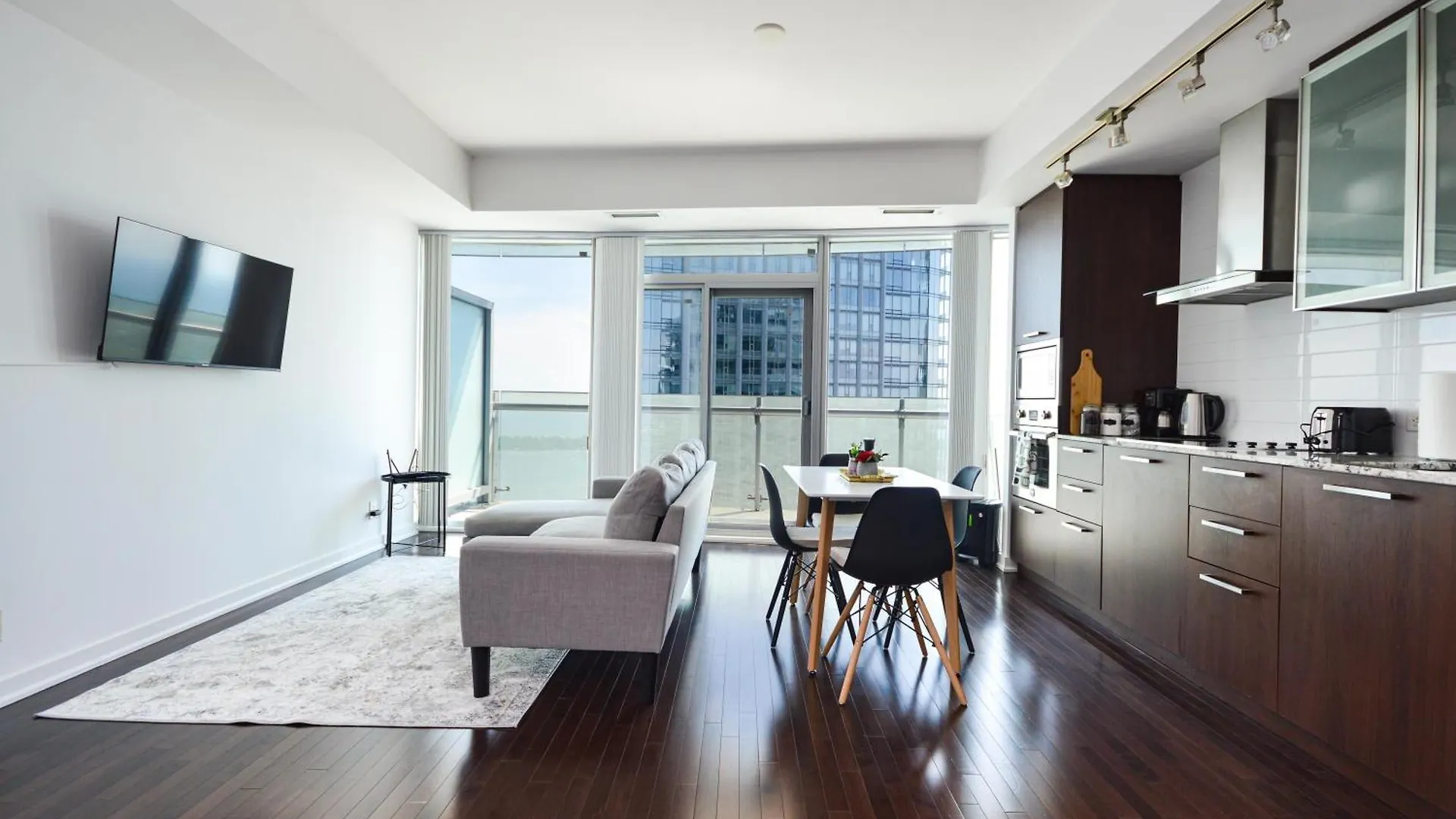 Downtown Toronto Apartment