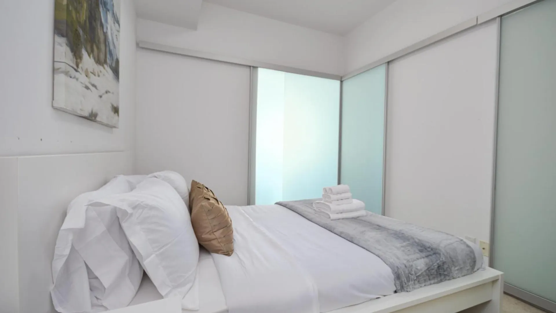 Downtown Toronto Apartment