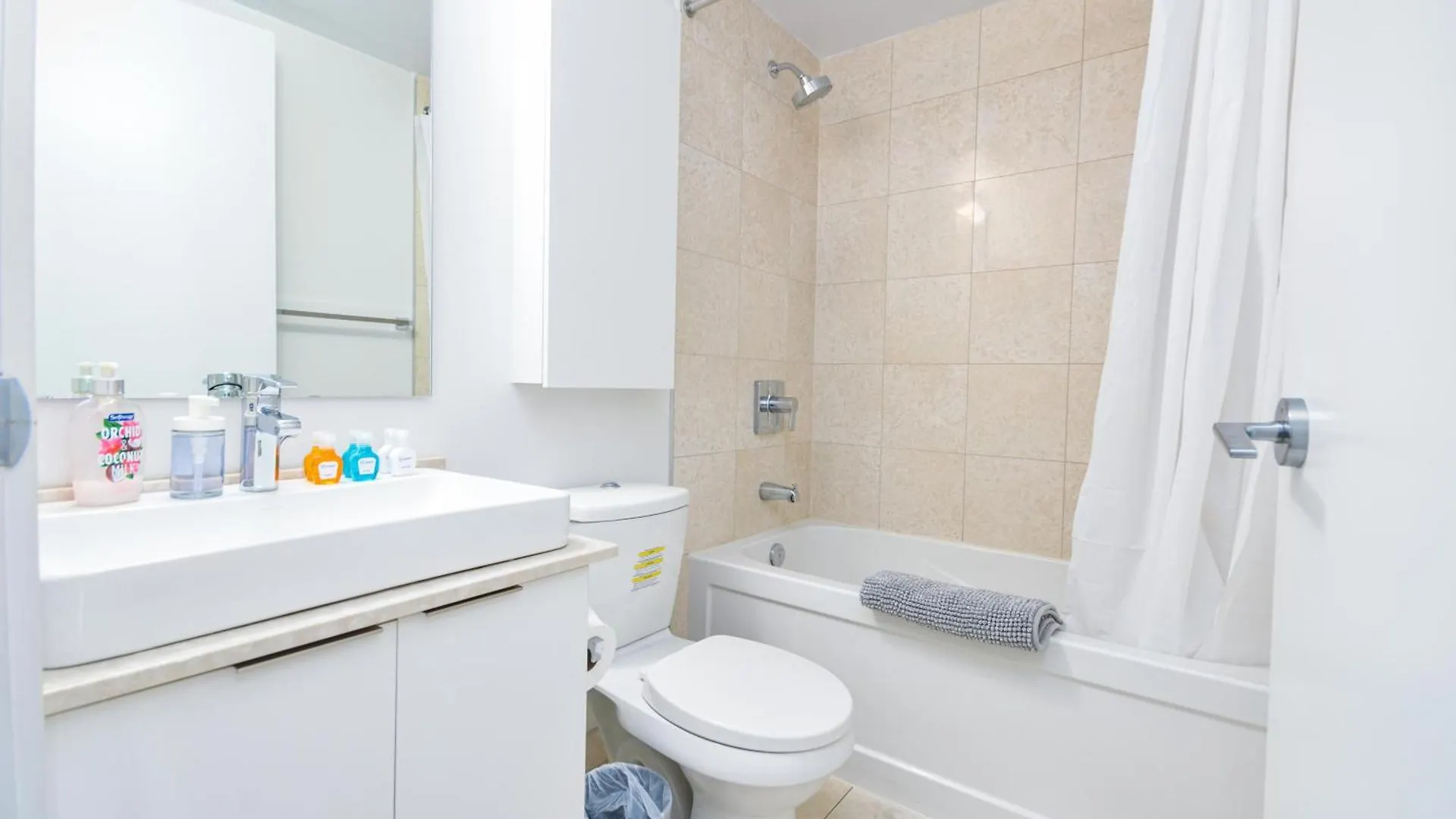 Downtown Toronto Apartment Canada