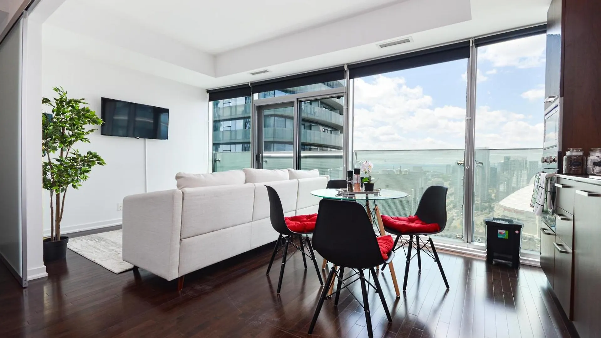 Downtown Toronto Apartment